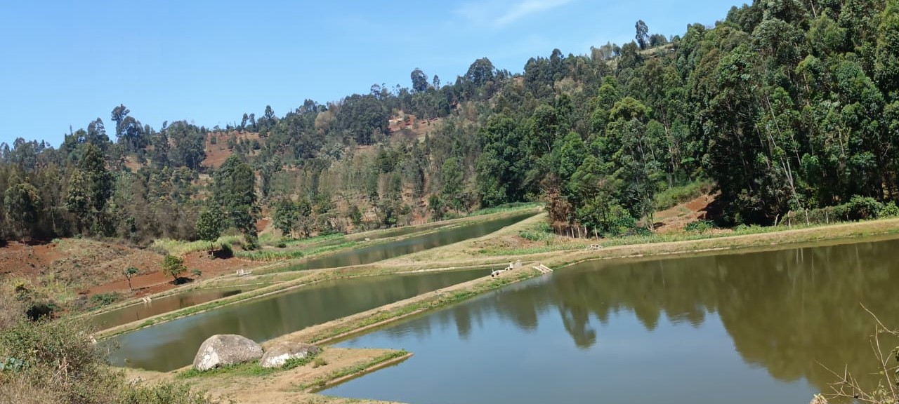 Relocation of githagara-mairo road water infrastructure project